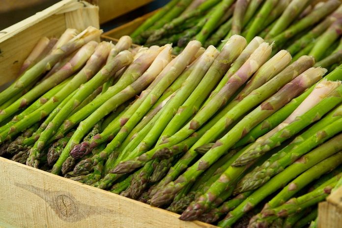 Asparagus Health Benefits