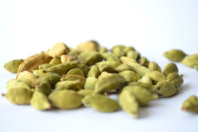 Health Benefits of Cardamom