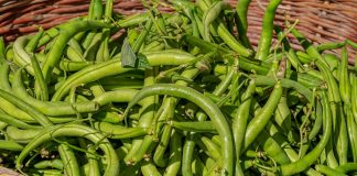 Most Effective Benefits of Beans For The Human Body 2019 Benefits of Beans